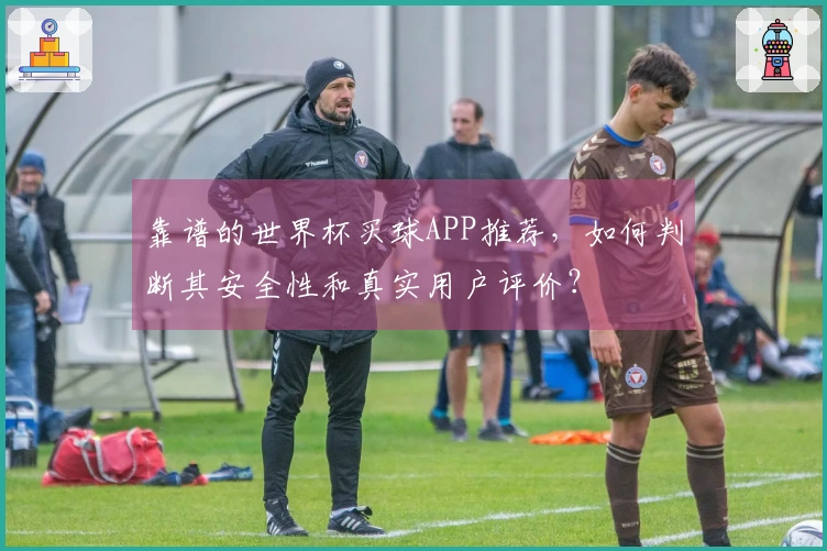 靠谱的世界杯买球APP推荐，如何判断其安全性和真实用户评价？