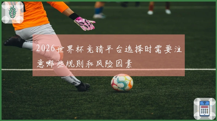 2026世界杯竞猜平台选择时需要注意哪些规则和风险因素