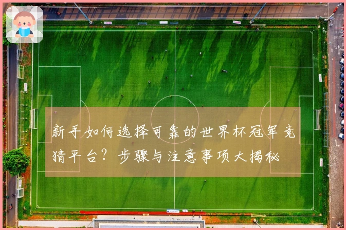 新手如何选择可靠的世界杯冠军竞猜平台？步骤与注意事项大揭秘