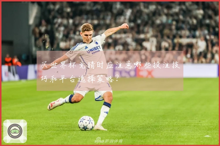 买世界杯竞猜时应注意哪些投注技巧和平台选择策略？