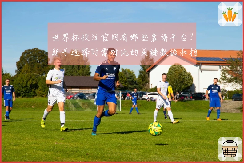 世界杯投注官网有哪些靠谱平台？新手选择时需对比的关键数据和指标