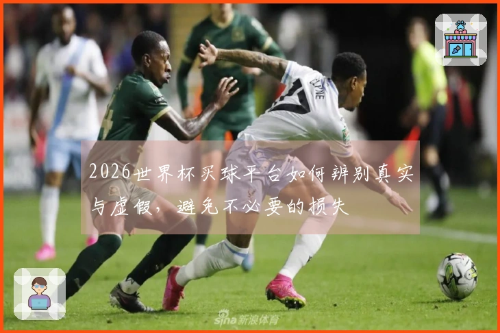 2026世界杯买球平台如何辨别真实与虚假，避免不必要的损失