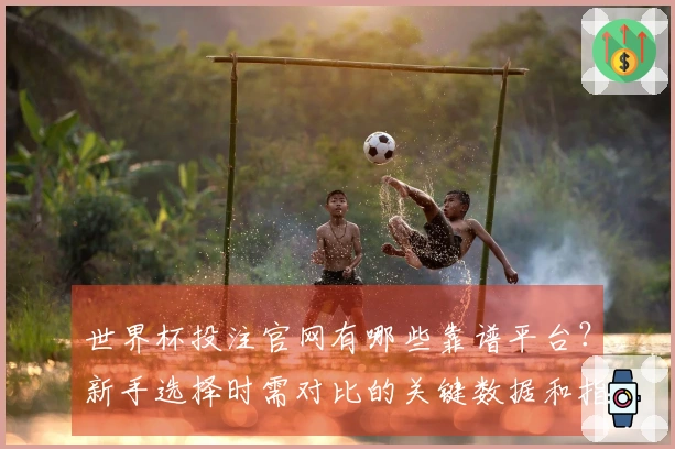 世界杯投注官网有哪些靠谱平台？新手选择时需对比的关键数据和指标